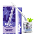 Blueberry Mojito