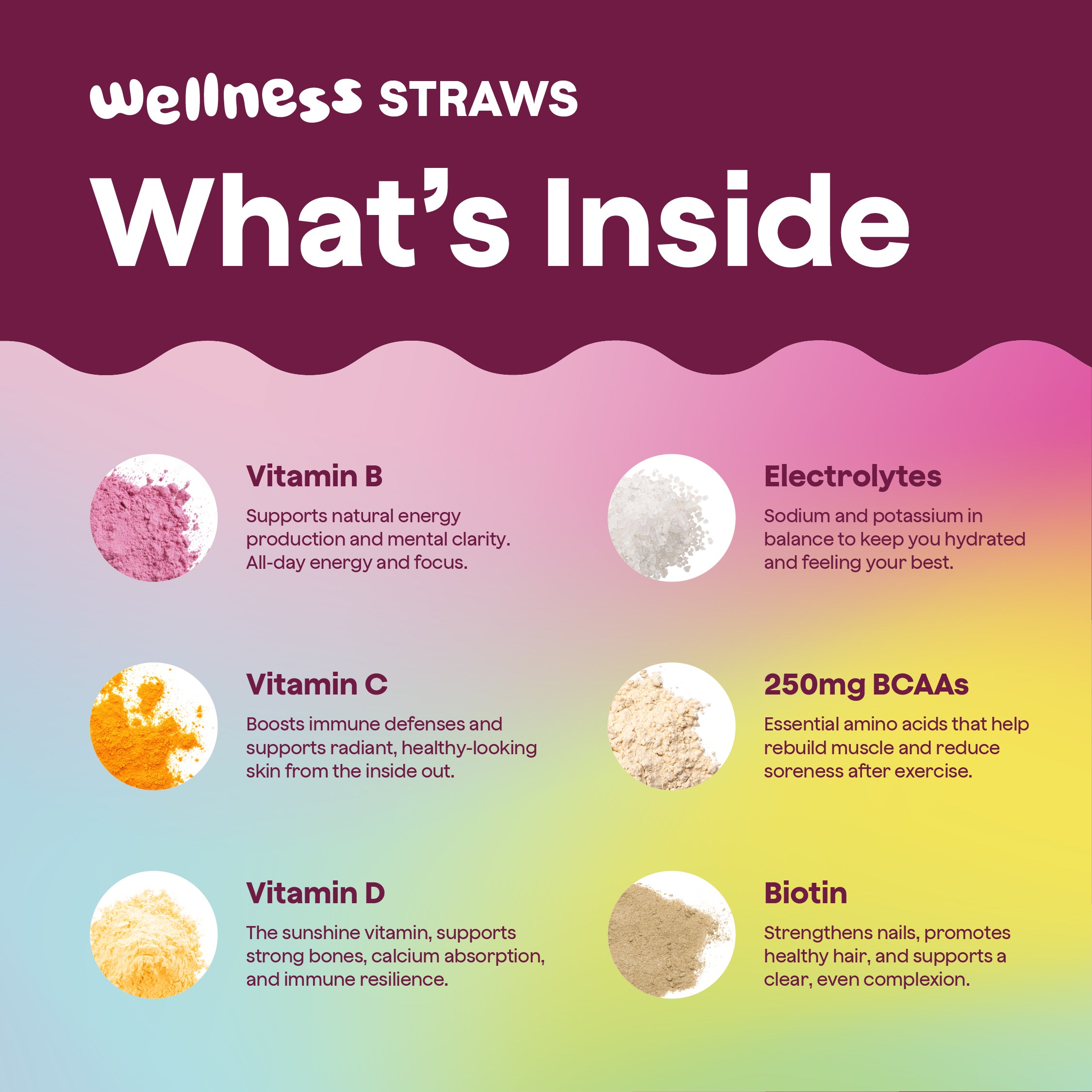 Wellness Variety Pack
