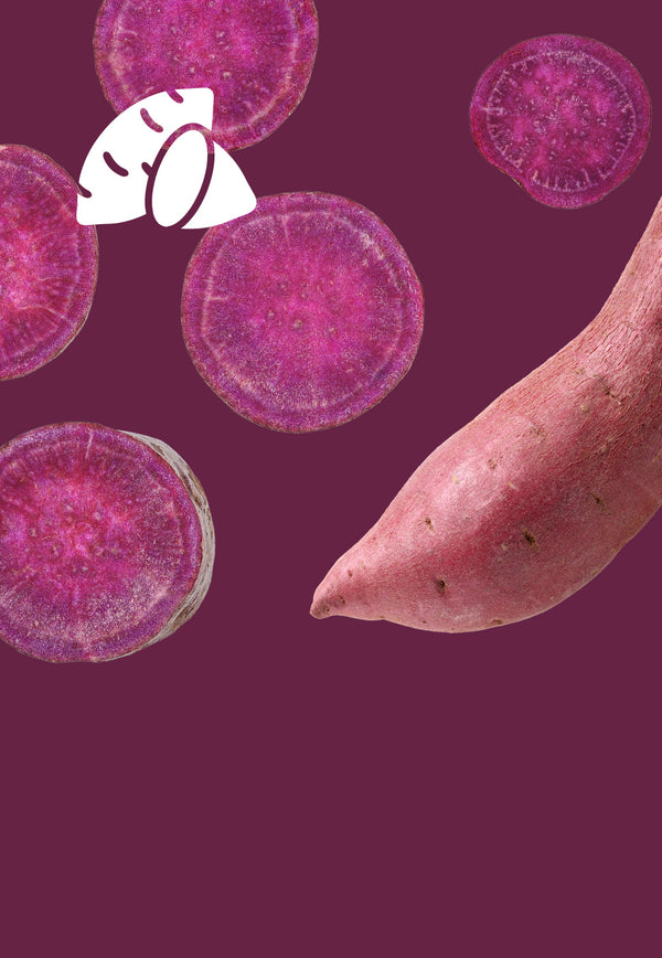 Purple Sweet Potato