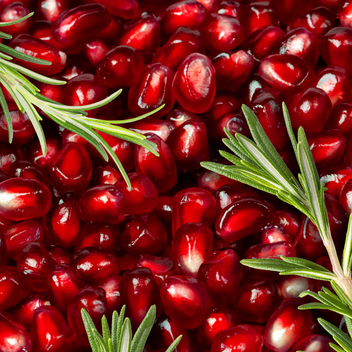 Pomegranate & Rosemary