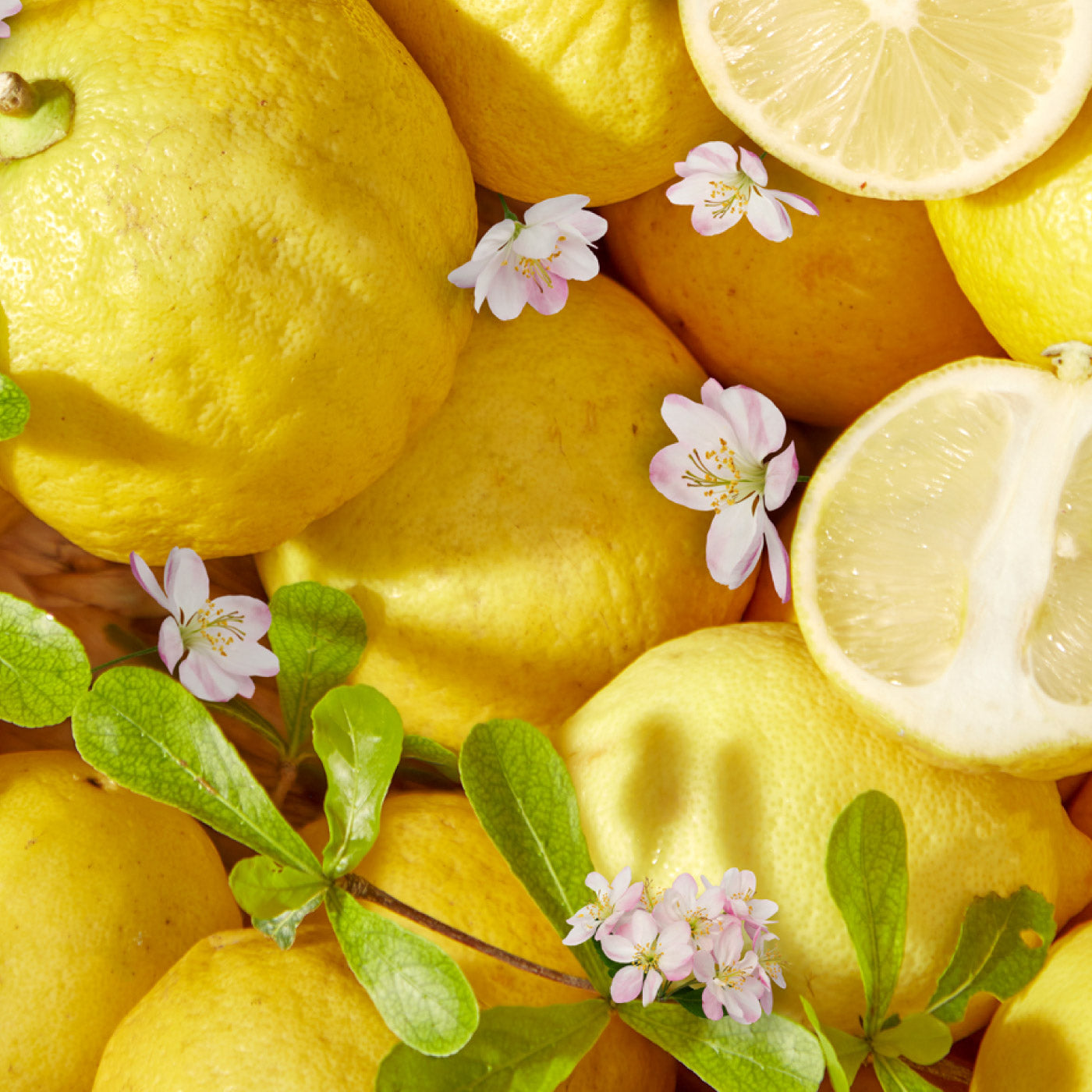 Yuzu & Cherry Blossom